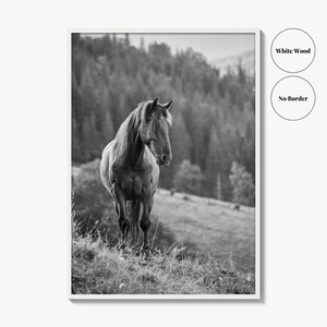 Horse Black and White Fine Art Photo Print, Carpathian Mountains, Fog, Equine Wall Decor image 17
