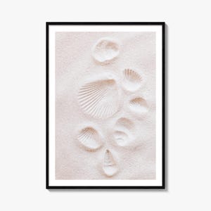 Könnte beinhalten: Ein gerahmter Wandkunstdruck mit einer Sammlung verschiedener Muscheln, die teilweise in feinem, hellbeigem Sand vergraben sind. Die Komposition zeigt sechs verschiedene Muschelformen mit sichtbaren Rillen und Texturen auf einem neutralen Sandgrund.