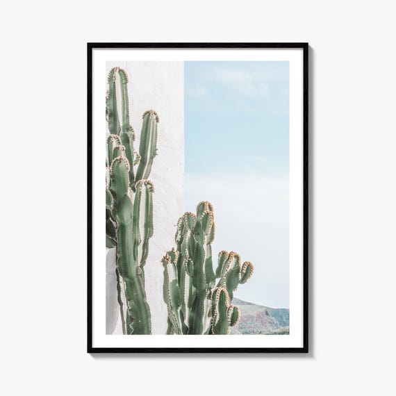lechleriana monstera Monstera lechleriana