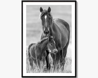 Wild Mustang Mare Black and White Fine Art Photo Print, Cody Wyoming, Wall Decor