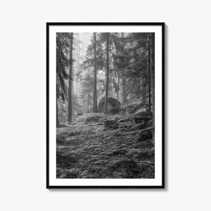 Fine Art Pinienwald Poster | Schwarz-weiß Fotografie Poster für Wohnkultur, Natur Wandkunst, Landschaftsdekor