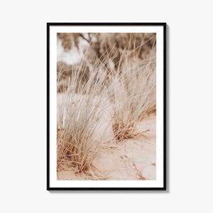 Beach Grass Fine Art Photo Print, Coastal Dune Wall Decor, Vertical, Desert Plants
