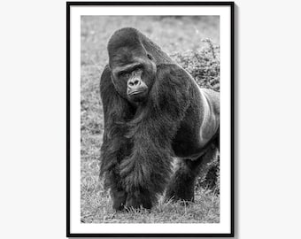 Stampa fotografica artistica in bianco e nero di gorilla, decorazione da parete, fauna selvatica, foresta, scimmia