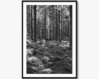 Impressão fotográfica artística em preto e branco de floresta musgosa, decoração de parede escandinava, fotografia da natureza