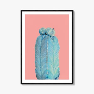 Kaktus Kunstdruck | Farbe Fotografie Wandkunst für Wohnkultur