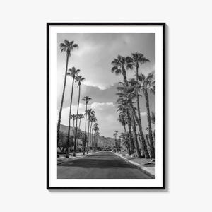 Impressão de palmeiras de belas artes na estrada, pôster de fotografia em preto e branco, arte de parede tropical, decoração de casa natural, arte costeira