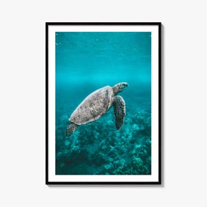 Impresión fotográfica artística de tortuga marina, decoración de pared submarina, póster de vida marina