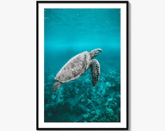 Sea Turtle Fine Art Photo Print, Underwater Ocean Wall Decor, Marine Life Poster