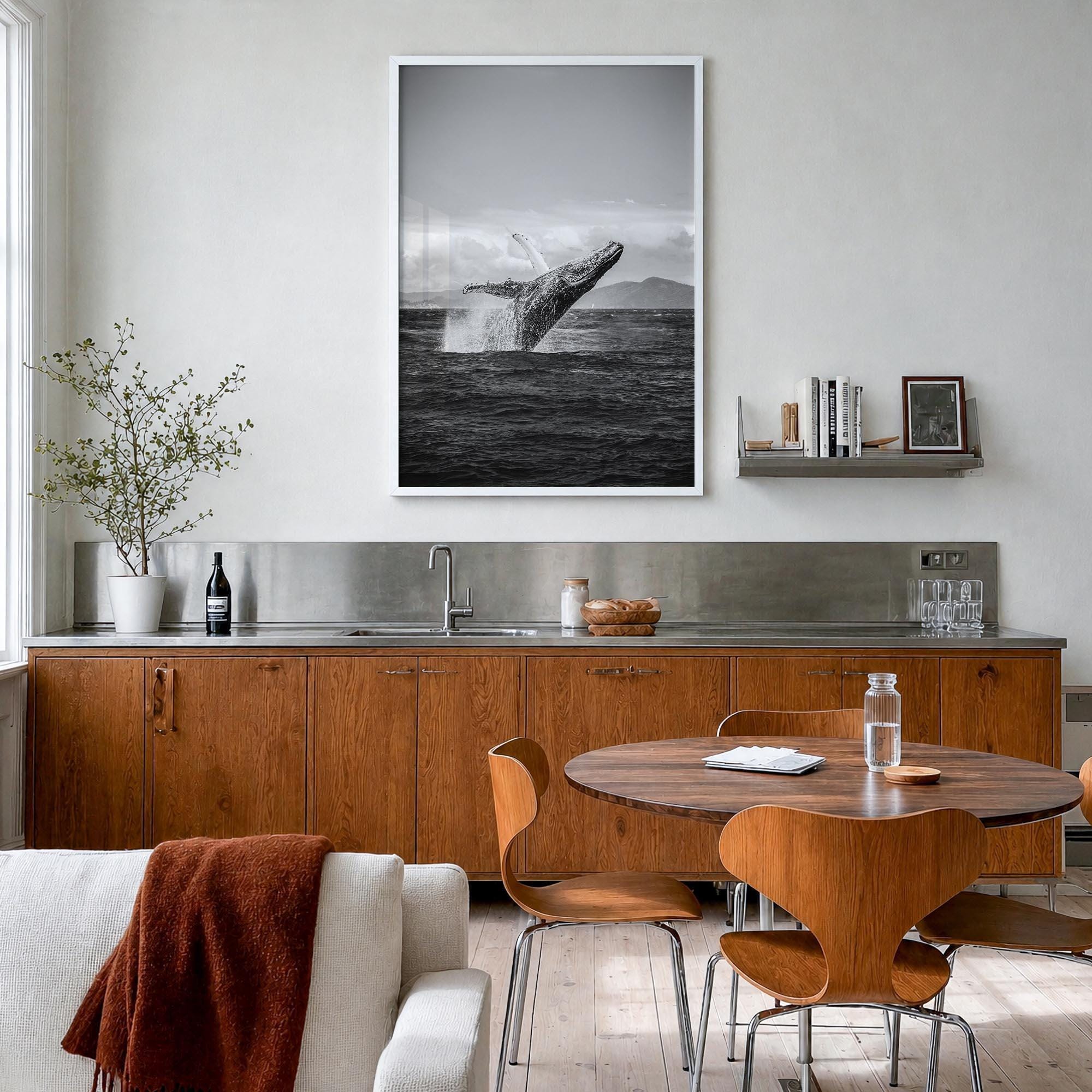 Humpback Whale Black and White Fine Art Photo Print, Whitsundays