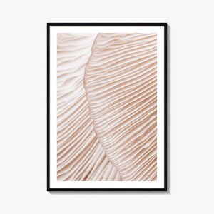 Mushroom Gills Fine Art Photography Color Poster Print