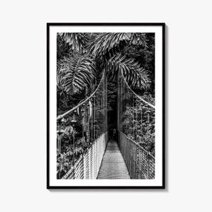 Rainforest Suspension Bridge Black and White Fine Art Photo Print, Wall Decor, Cloud Forest
