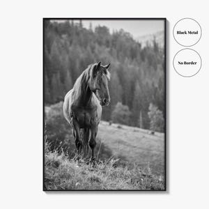 Horse Black and White Fine Art Photo Print, Carpathian Mountains, Fog, Equine Wall Decor image 18