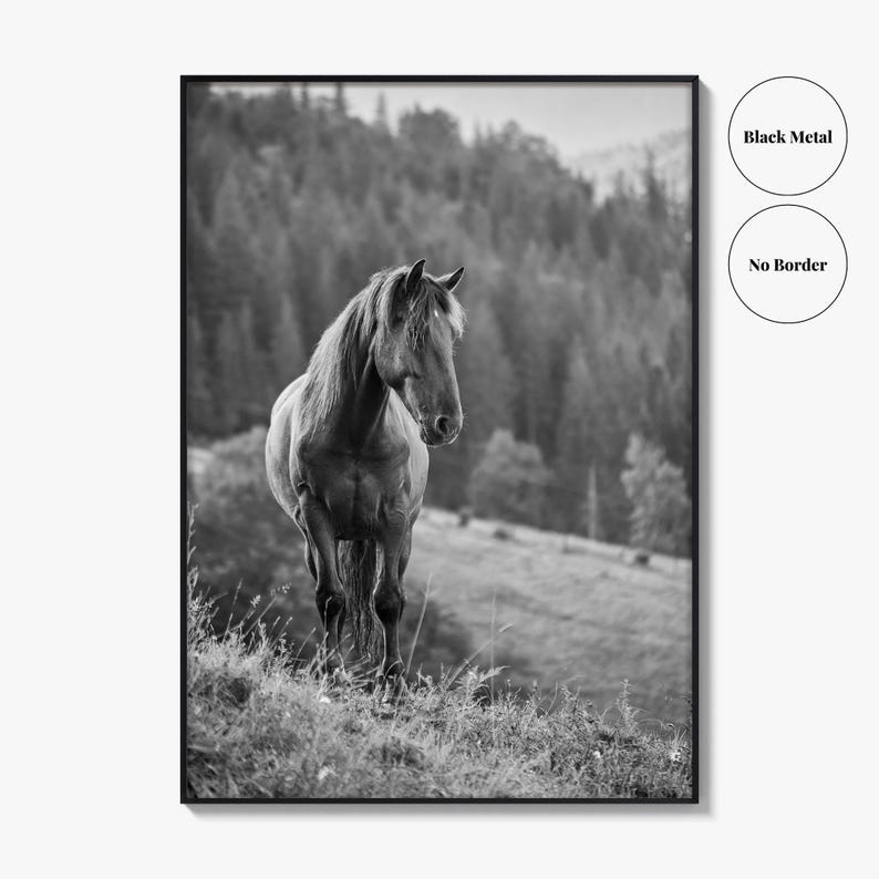Horse Black and White Fine Art Photo Print, Carpathian Mountains, Fog, Equine Wall Decor image 18