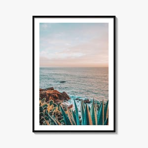Kaktus Kunstdruck | Farbfotografie Poster für Wohnkultur & Pflanzenliebhaber, Einzigartige Wandkunst