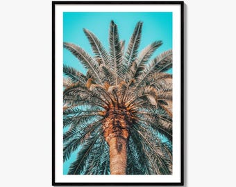 Palm Tree Fine Art Photo Print, Echo Park Los Angeles California, USA Wall Decor