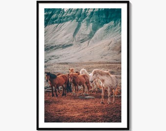 Wild Horses Iceland Fine Art fotoprint, IJslands muurdecor, berglandschap, Scandinavisch