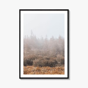 Impresión artística de bosque brumoso, póster de fotografía de naturaleza, decoración de pared, paisaje sereno, decoración del hogar y la oficina