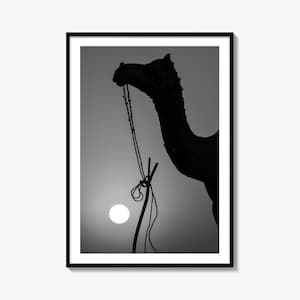 Camel Silhouette Black and White Fine Art Photo Print, Pushkar Fair, Rajasthan, India