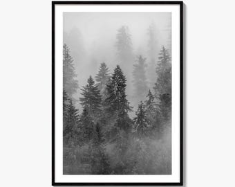 Foggy Pine Forest Black and White Fine Art Photo Print, Ceahlau Romania, Landscape
