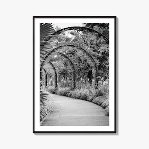 Fine Art Botanischer Garten Kunstdruck | Schwarz Weiß Fotografie Poster für Wohnkultur, Geschenk für Naturliebhaber, Wandkunst
