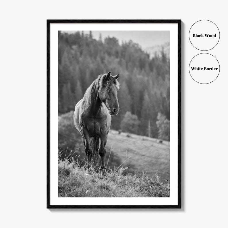Horse Black and White Fine Art Photo Print, Carpathian Mountains, Fog, Equine Wall Decor image 6