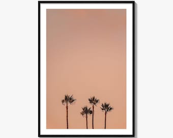 Palm Trees Fine Art Photo Print, San Diego, California, Nature Wall Decor