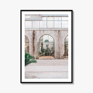 Kaktus Kunstdruck | Farbfotografie Poster für Innendekoration & Gartenliebhaber, Einzigartige Geschenkidee