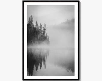 Foggy Pine Forest Black and White Fine Art Photo Print, Smida Romania, Wall Art