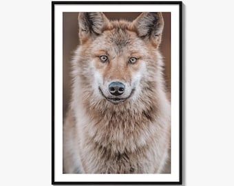Wolf Fine Art-fotoprint, natuurfotografie, dierenportret, natuurmuurdecoratie