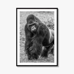 Fine Art Gorilla Print | Black & White Photography Poster | Wildlife Wall Art Decor for Animal Lovers