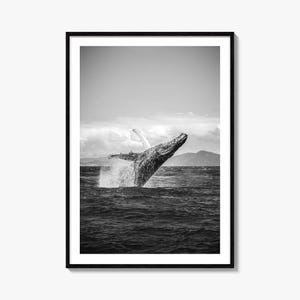 Impresión artística de ballenas, póster fotográfico en blanco y negro, decoración de pared oceánica, arte náutico, decoración minimalista del hogar