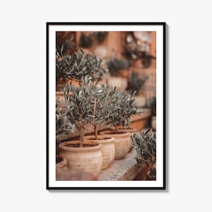 Fotografia artística de oliveira, pôster de vasos de terracota, decoração de parede da Provença, França.