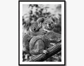 Koala Schwarz Weiß Fine Art Foto Druck, Australien Wildtiere Wanddekoration, Baby Tier