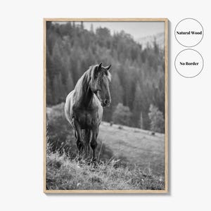 Horse Black and White Fine Art Photo Print, Carpathian Mountains, Fog, Equine Wall Decor image 16