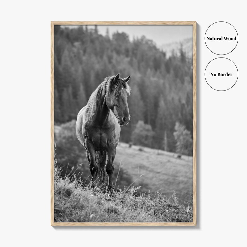 Horse Black and White Fine Art Photo Print, Carpathian Mountains, Fog, Equine Wall Decor image 16