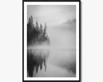 Foggy Pine Forest Black and White Fine Art Photo Print, Smida Poster, Romania Decor