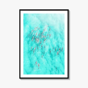 Dolphin Swimming Print, Fine Art Color Photography Poster, Ocean Decor, Sea Life Wall Art, Tropical Home Decor, Nautical Gift