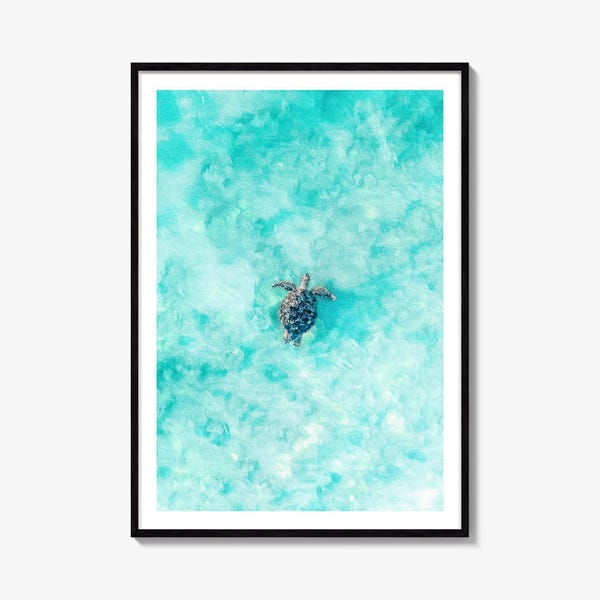 Sea Turtle Fine Art Photo Print, Aerial Ocean Poster, Turquoise Water Wall Decor