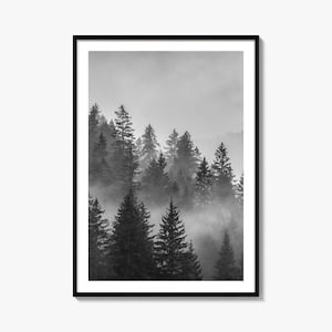 Misty Pine Forest Black and White Fine Art Photo Print, Landscape Photography