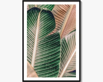 Kunstzinnige fotoprint van een bananenblad, tropische botanische poster, groene jungle wanddecoratie