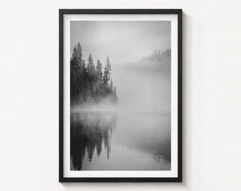 Foggy Pine Forest Black and White Fine Art Photo Print, Smida Poster, Romania Decor