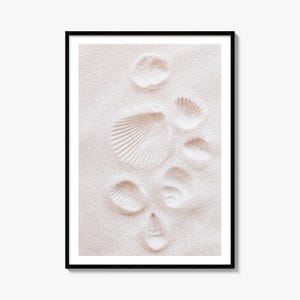 Fotografía artística de conchas marinas, impresión con textura de arena, decoración minimalista para pared con temática playera.