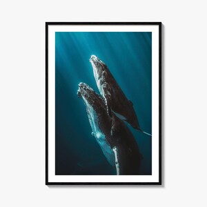 Impresión artística de ballenas / Póster de fotografía en color / Arte de pared náutico / Decoración oceánica / Arte de vida marina para el hogar y la oficina