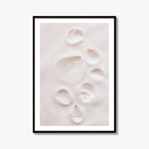 Seashells Fine Art Photo Print, Beach Decor, Coastal Poster, Ocean Photography, Travel Theme