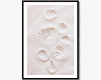 Seashells Fine Art Photo Print, Beach Decor, Coastal Poster, Ocean Photography, Travel Theme
