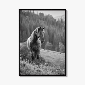 Horse Black and White Fine Art Photo Print, Carpathian Mountains, Fog, Equine Wall Decor image 10
