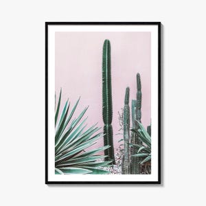 Kaktus Kunstdruck | Farbfotografie Poster für Home Decor & Wandkunst