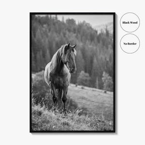 Horse Black and White Fine Art Photo Print, Carpathian Mountains, Fog, Equine Wall Decor image 15