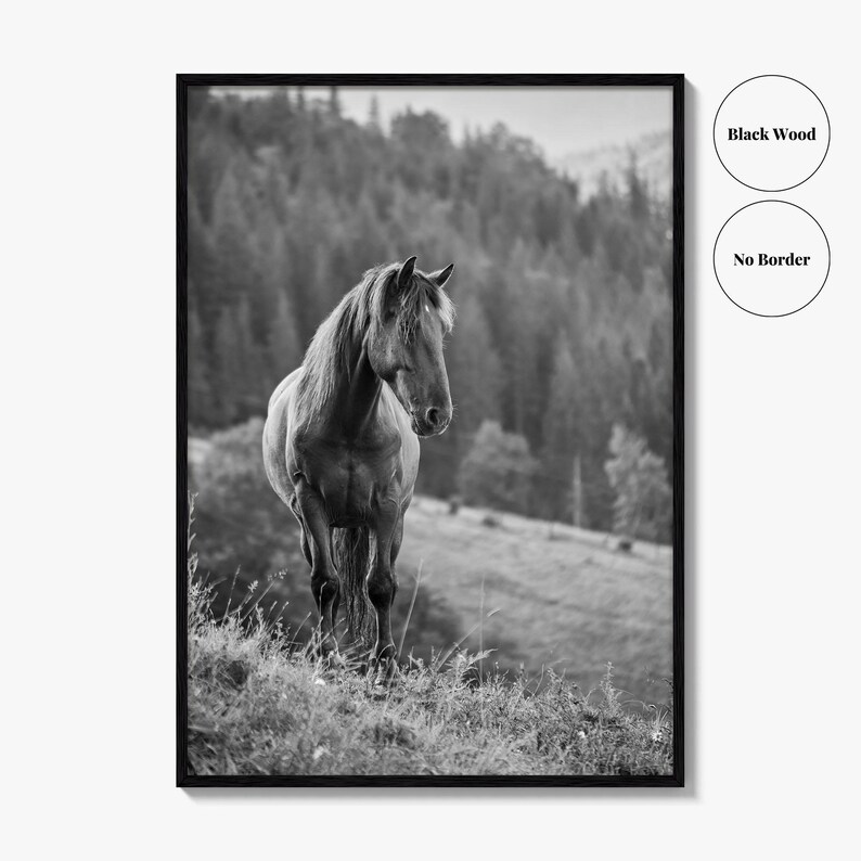 Horse Black and White Fine Art Photo Print, Carpathian Mountains, Fog, Equine Wall Decor image 15
