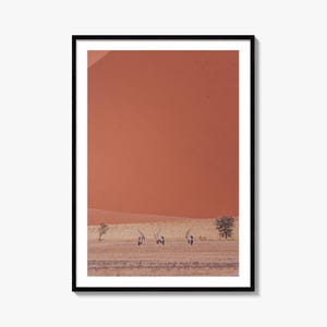 Oryx Antilope Fine Art Photo Print, Gemsbock, Namib Wüste Namibia